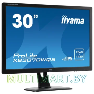 Монитор Iiyama ProLite XB3070WQS-B1